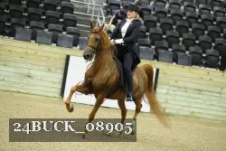 24BUCK_08905 thumbnail