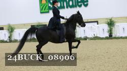 24BUCK_08906 thumbnail
