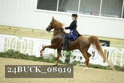 24BUCK_08919 thumbnail