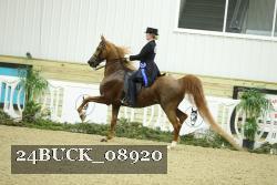 24BUCK_08920 thumbnail
