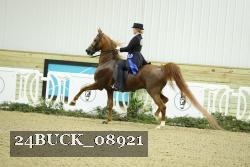 24BUCK_08921 thumbnail