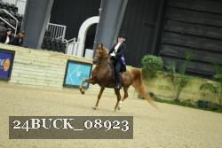 24BUCK_08923 thumbnail