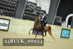 24BUCK_08924 thumbnail