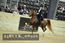 24BUCK_08926 thumbnail