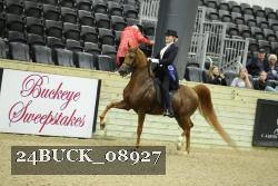 24BUCK_08927 thumbnail