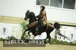 24BUCK_08935 thumbnail