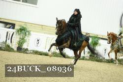 24BUCK_08936 thumbnail