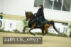 24BUCK_08937 thumbnail