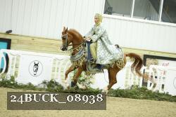 24BUCK_08938 thumbnail