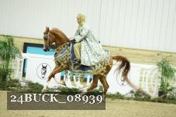 24BUCK_08939 thumbnail