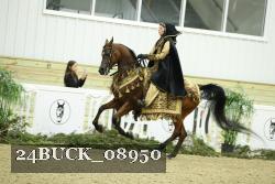 24BUCK_08950 thumbnail
