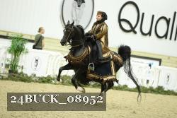 24BUCK_08952 thumbnail