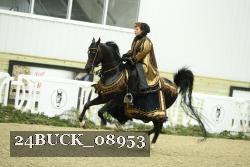 24BUCK_08953 thumbnail