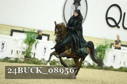 24BUCK_08956 thumbnail