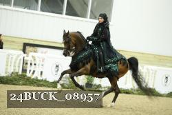 24BUCK_08957 thumbnail