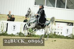 24BUCK_08965 thumbnail