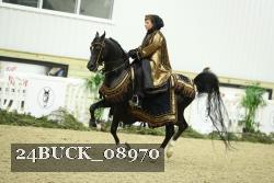 24BUCK_08970 thumbnail
