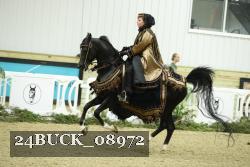 24BUCK_08972 thumbnail