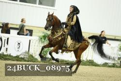 24BUCK_08975 thumbnail