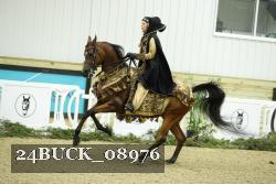 24BUCK_08976 thumbnail