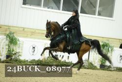 24BUCK_08977 thumbnail