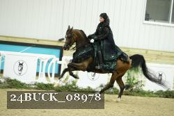 24BUCK_08978 thumbnail