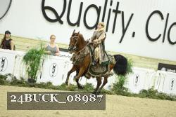 24BUCK_08987 thumbnail