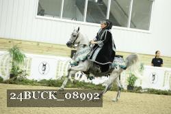 24BUCK_08992 thumbnail