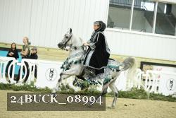 24BUCK_08994 thumbnail