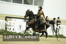 24BUCK_08997 thumbnail