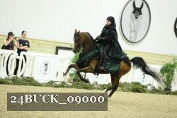24BUCK_09000 thumbnail