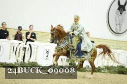 24BUCK_09008 thumbnail
