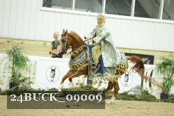 24BUCK_09009 thumbnail
