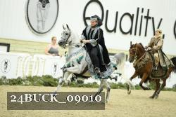 24BUCK_09010 thumbnail