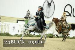 24BUCK_09011 thumbnail