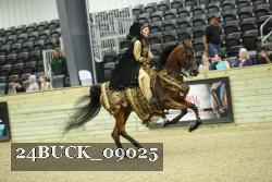 24BUCK_09025 thumbnail