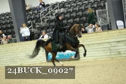 24BUCK_09027 thumbnail