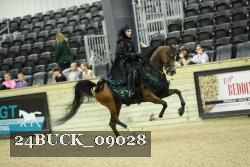 24BUCK_09028 thumbnail