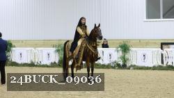 24BUCK_09036 thumbnail