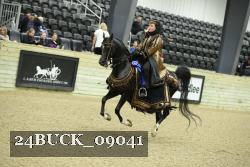 24BUCK_09041 thumbnail