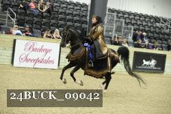 24BUCK_09042 thumbnail