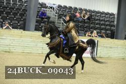 24BUCK_09043 thumbnail
