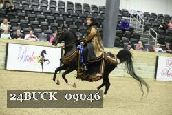 24BUCK_09046 thumbnail