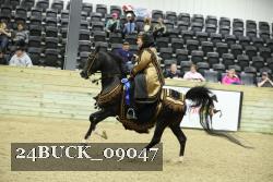 24BUCK_09047 thumbnail