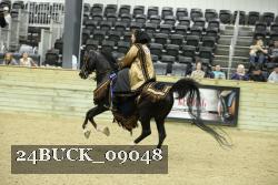 24BUCK_09048 thumbnail