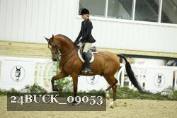 24BUCK_09053 thumbnail