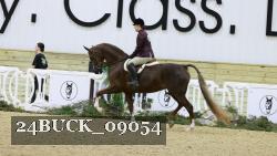24BUCK_09054 thumbnail