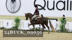 24BUCK_09056 thumbnail