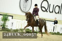 24BUCK_09057 thumbnail