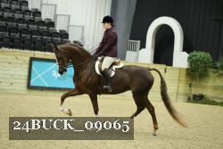 24BUCK_09065 thumbnail